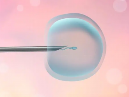 <b>2026天津卵巢早衰试管婴儿排名，借卵助孕机构一览？,供卵代怀机构有吗</b>