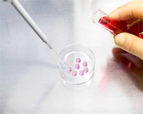 <b>国内借卵子做试管的费用到底是多少钱？,试管代孕案例</b>