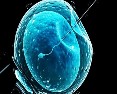 私立机构做供卵试管费用明细，附2026热门供卵试管医院导航						,怎么找试管代生