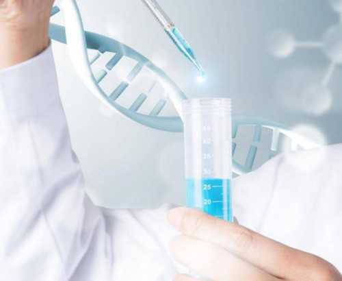 <b>2026湖南做试管借卵男孩要花多少钱？附借卵费用明细？,试管供卵助孕公司</b>