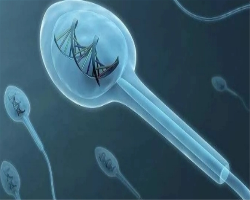 <b>国内借卵生子费用是多少？借卵试管价格多少钱？,哪家医院可以找人代孕</b>