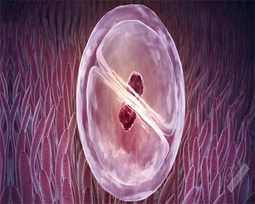 <b>武汉借卵试管婴儿哪家医院排名最好？,供卵包男孩</b>