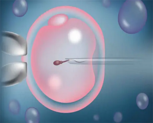 <b>借卵试管一般要多少钱？十五万够吗？,有哪些供卵代怀机构呢</b>