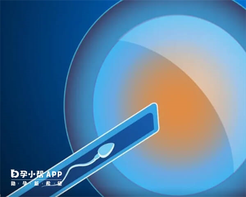 <b>国内借卵试管生男孩医院排名?附借卵费用一览?,助孕代怀官网费用</b>