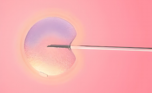 <b>49岁绝经3年借卵做试管成功率高吗？有没有保证？,那里做代孕较好</b>