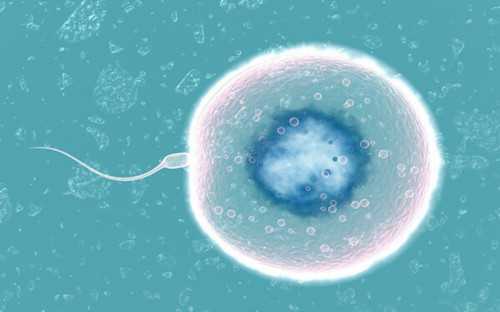 <b>南昌借卵试管包生男孩价格多少？附费明细！,供卵助孕中介</b>