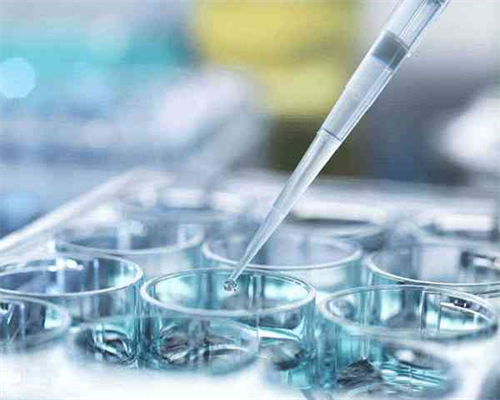 <b>肇庆三代试管婴儿公司的成功率是多少，十六万够吗？,代孕最好的公司</b>