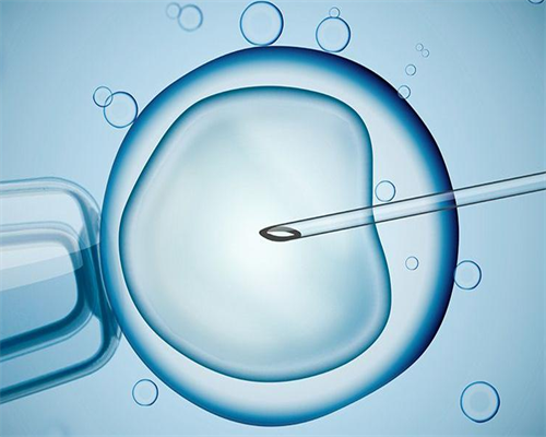 <b>借卵做试管的费用要多少钱？附借卵费用明细,供卵代孕服务</b>