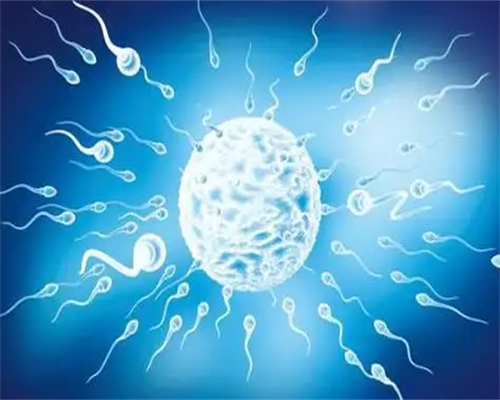 <b>哈尔滨医科大学附属第一医院可以借卵做供卵试管吗？做好这些让你事半功倍						,供卵代生电话</b>