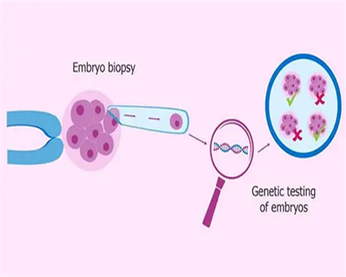 <b>北京借卵试管婴儿费用多少？借卵费用6-15万不等！,代怀试管包男孩</b>