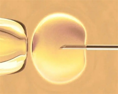 <b>新疆三代试管婴儿三代哪家医院成功率高？具体费用！,代孕机构排名</b>