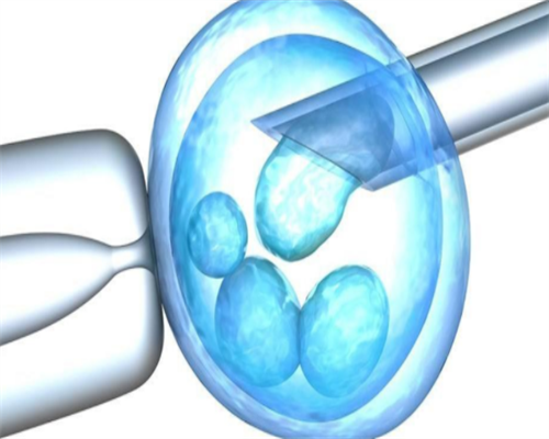 <b>天津借卵试管医院排名？借卵试管费用多少钱？,代怀公司</b>