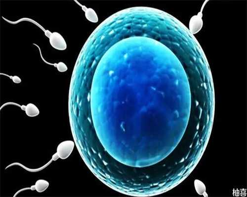 <b>南昌借卵试管贵不贵？南昌机构借卵要多少钱？,供卵包儿子</b>