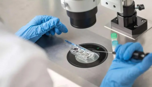 <b>东莞市人民医院能做借卵试管吗？成功率多少？,双胞胎试管代孕</b>