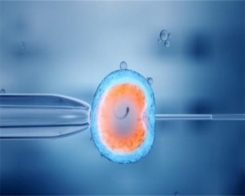 <b>国内供精借卵试管婴儿医院排名前十的有哪些？,试管代孕花费明细表</b>