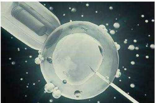 <b>江西省试管生宝宝费用具体是多少,试管代孕的具体步骤</b>