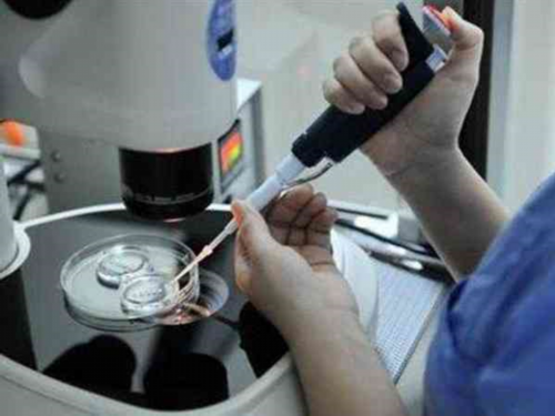 <b>南京三代借卵试管包男孩费用多少？十五万够吗？,代孕机构流程</b>