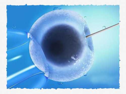 <b>三甲医院借卵费用多少？附详细借卵费用方案？,试管代孕性别包成功</b>