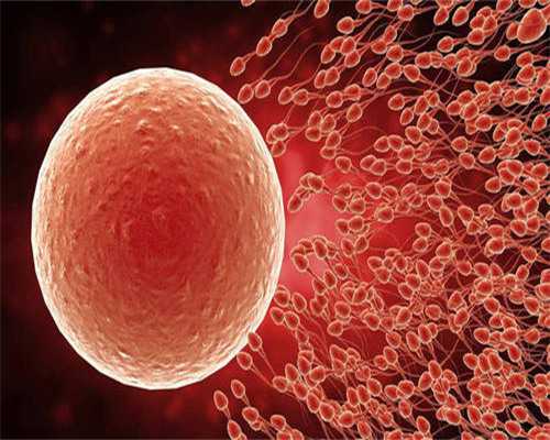 <b>生殖中心做试管卵子收费吗？附借卵费用明细？,怎么去试管代孕</b>