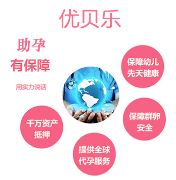 海娃孕育